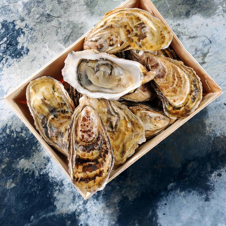 Les 12 Huîtres fines de Cancale N°3